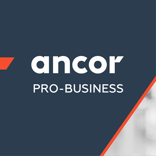 ANCOR PRO-Business: О чем говорят в IT?